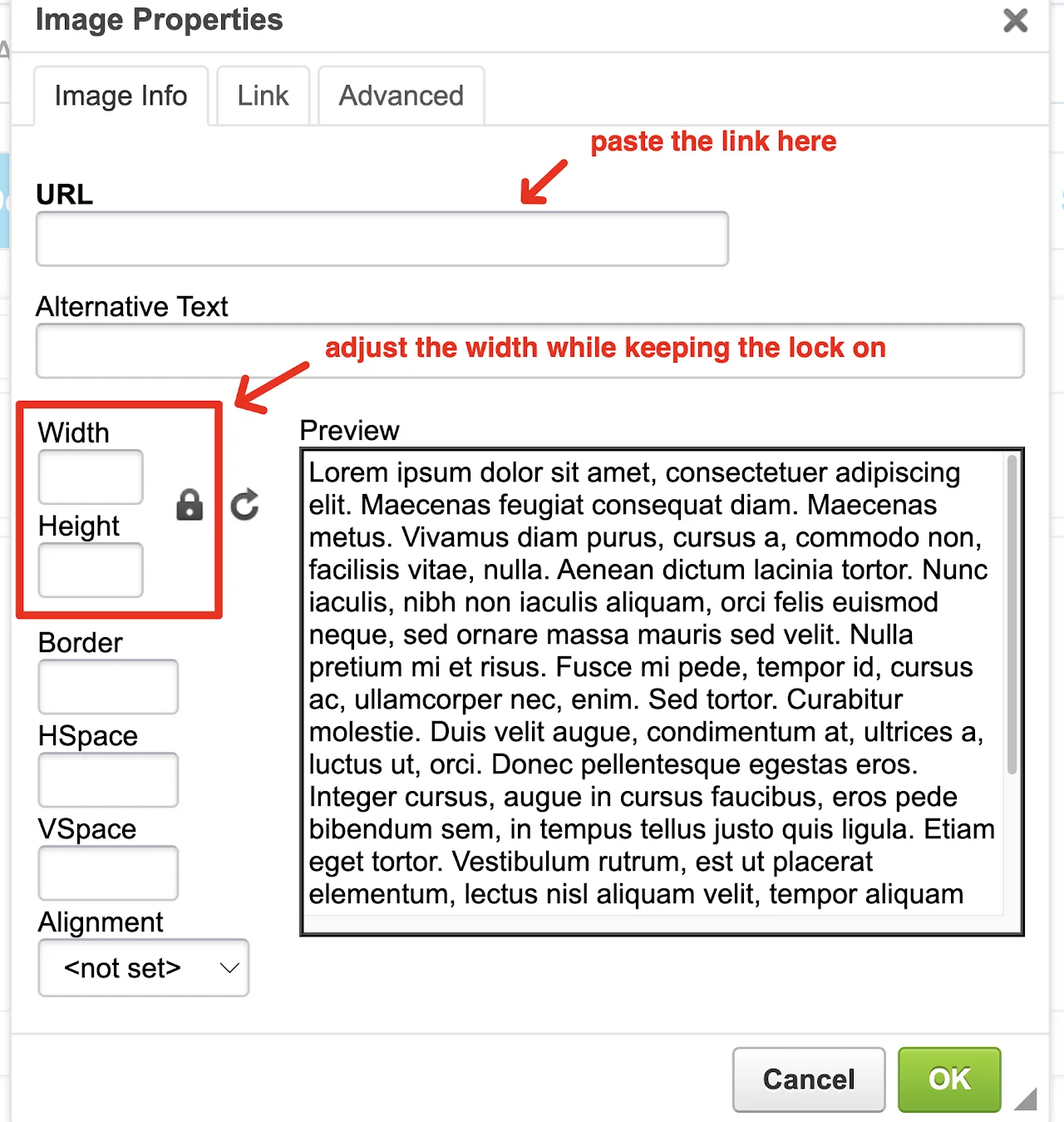 Screenshot showing URL box and width/height adjustment controls